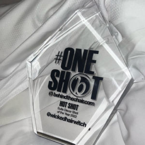 photo of the glass award for best suite decor